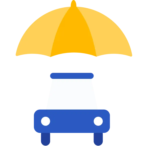 Plăți auto